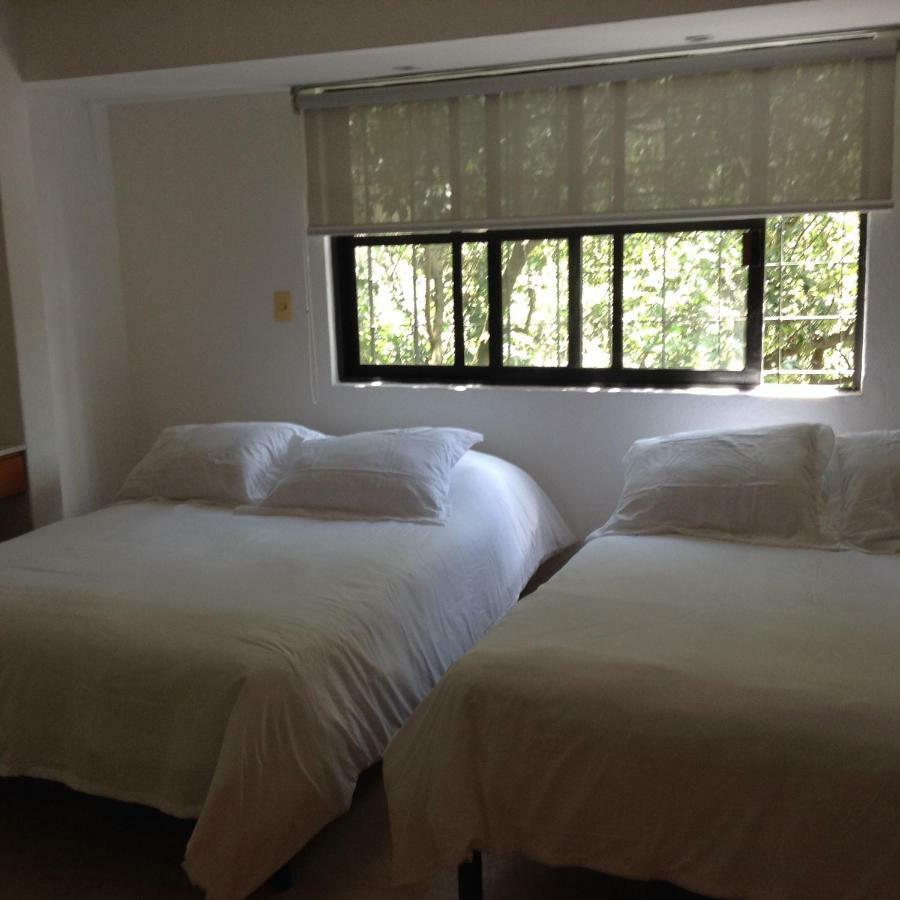 Lovely Apartment Ahuehuetes Mexico City Ngoại thất bức ảnh